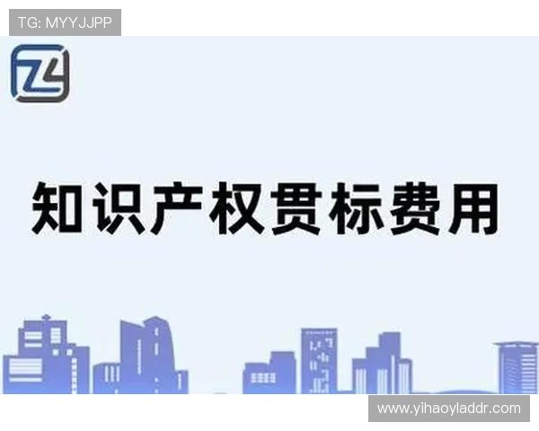 壹号平台下载安装最新版本的完整流程及常见问题解答