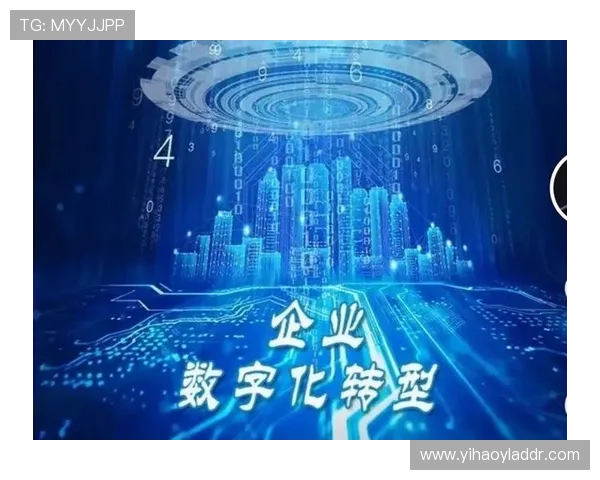 壹号网络科技：提供全方位的网络服务与技术支持，助推企业数字化升级与发展